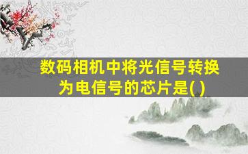 数码相机中将光信号转换为电信号的芯片是( )